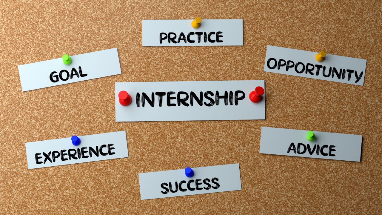 What Is an Internship? (Types, Importance, and Examples)